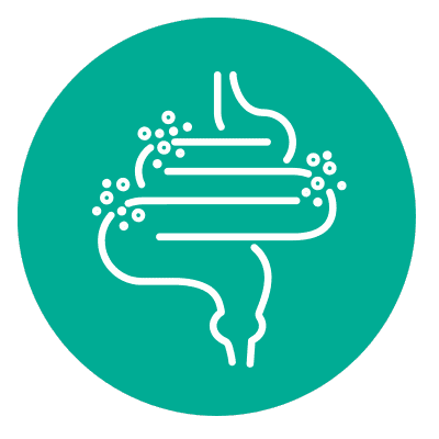 gut health treatment